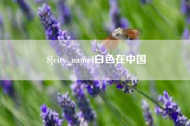 诸暨白色在中国
