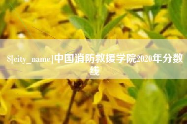 诸暨中国消防救援学院2020年分数线