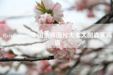 诸暨中国金牌图片大全大图真实高清