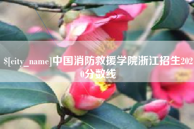 诸暨中国消防救援学院浙江招生2020分数线