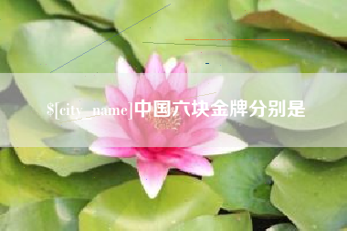 诸暨中国六块金牌分别是
