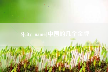 诸暨中国的几个金牌
