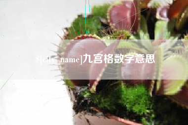 诸暨九宫格数字意思
