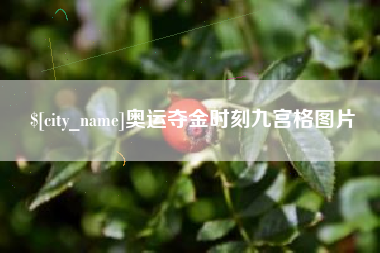 诸暨奥运夺金时刻九宫格图片