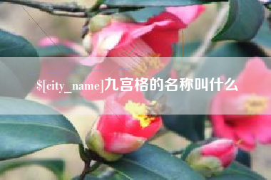 诸暨九宫格的名称叫什么