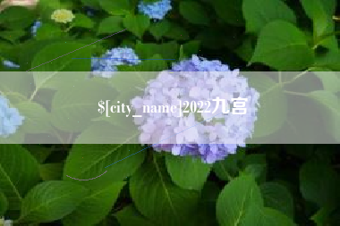 诸暨2022九宫