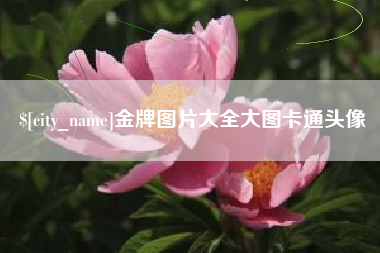 诸暨金牌图片大全大图卡通头像