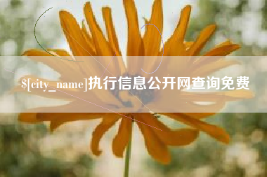 诸暨执行信息公开网查询免费