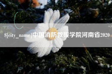 诸暨中国消防救援学院河南省2020